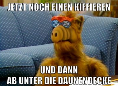 Jetzt noch einen kiffieren und dann ab unter die daunendecke