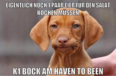 eigentlich noch 1 paar eier für den salat kochen müssen k1 bock am haven to been