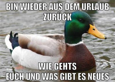 bin wieder aus dem urlaub zurück wie gehts euch und was gibt es neues
