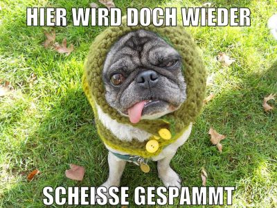hier wird doch wieder scheisse gespammt