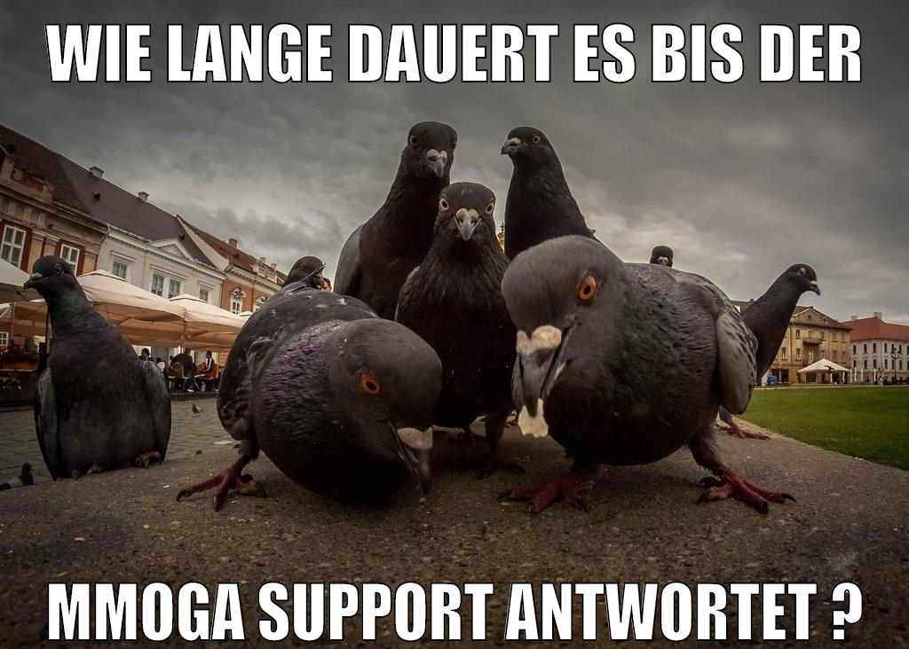 Wie Lange dauert es bis der mmoga Support antwortet ?