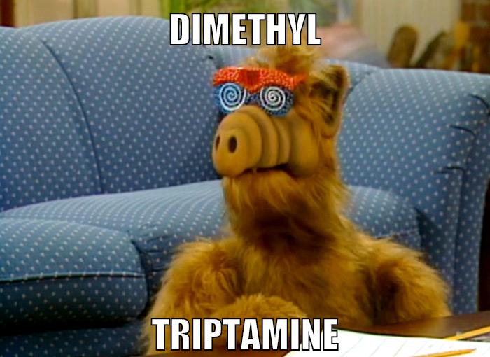 dimethyl triptamine