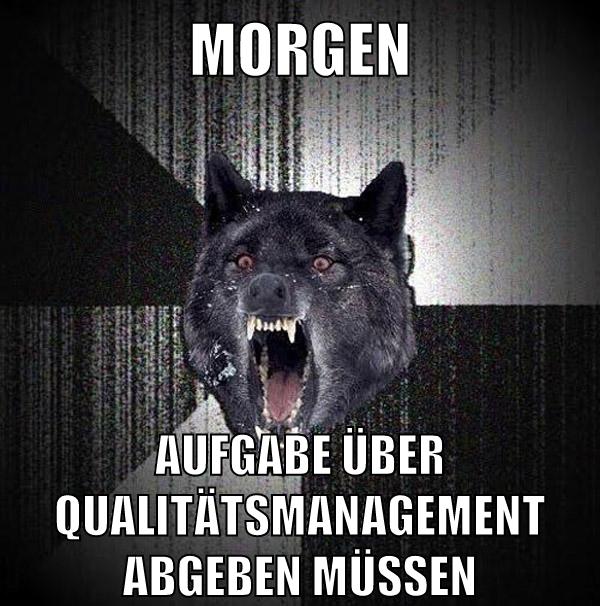 morgen aufgabe über qualitätsmanagement abgeben müssen