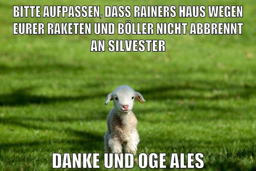bitte aufpassen, dass rainers haus wegen eurer raketen und böller nicht abbrennt an silvester danke und oge ales