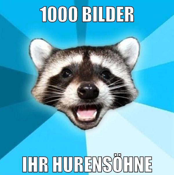 1000 bilder ihr hurensöhne