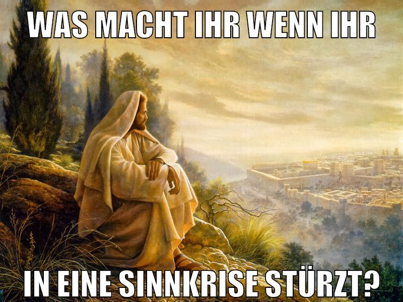 Was macht ihr wenn ihr in Eine Sinnkrise stürzt?