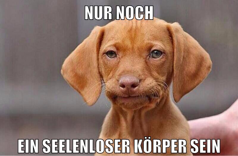 nur noch ein seelenloser körper sein