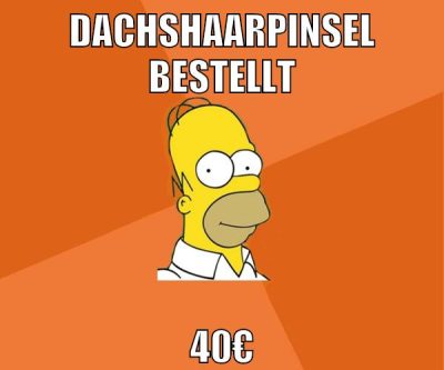 dachshaarpinsel bestellt 40€