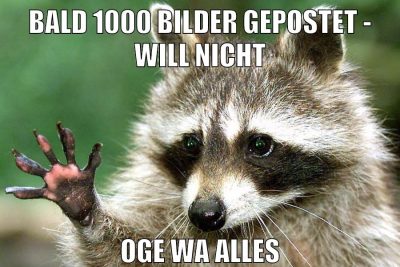 Bald 1000 Bilder gepostet - will nicht oge wa alles