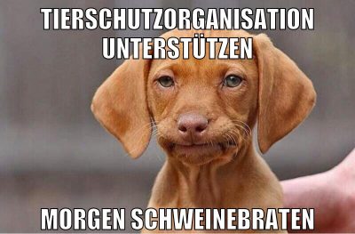 Tierschutzorganisation unterstützen morgen schweinebraten
