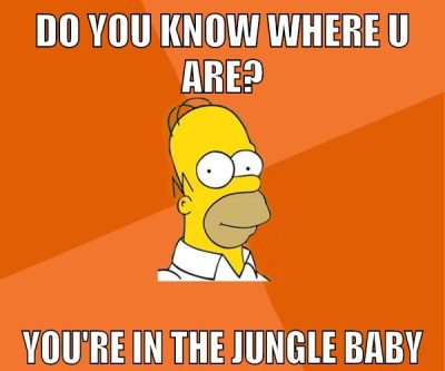do you know where u are? you're in the jungle baby