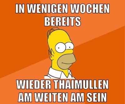 in wenigen wochen bereits wieder thaimullen am weiten am sein