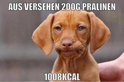 aus versehen 200g pralinen 1008kcal