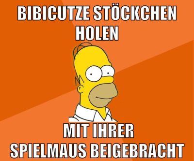 bibicutze stöckchen holen mit ihrer spielmaus beigebracht