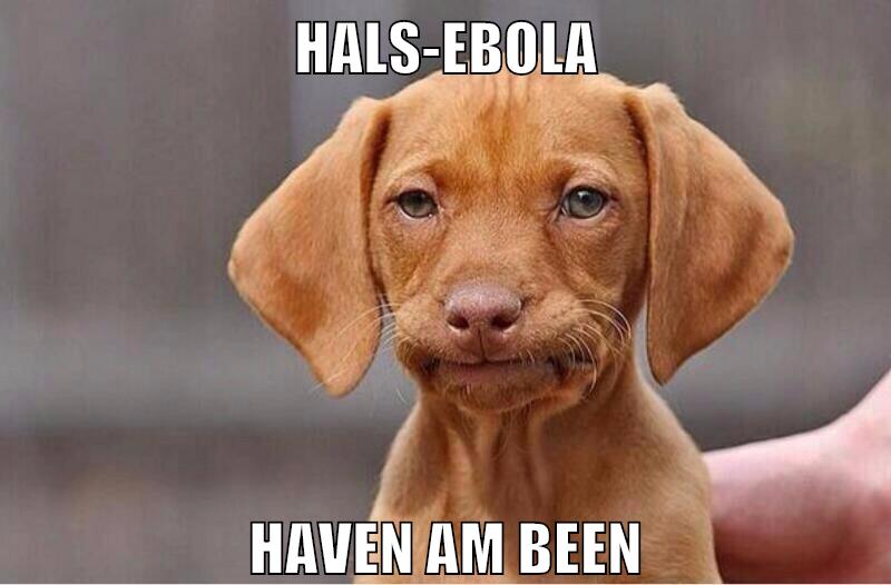 hals-ebola haven am been