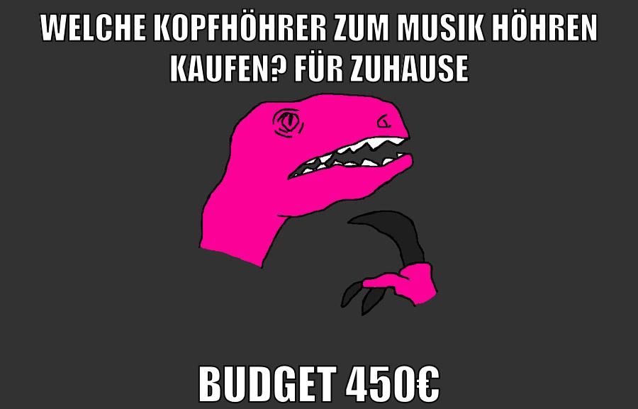 welche kopfhöhrER zum musik höhren kaufen? für ZUHAUSE BUDGET 450€