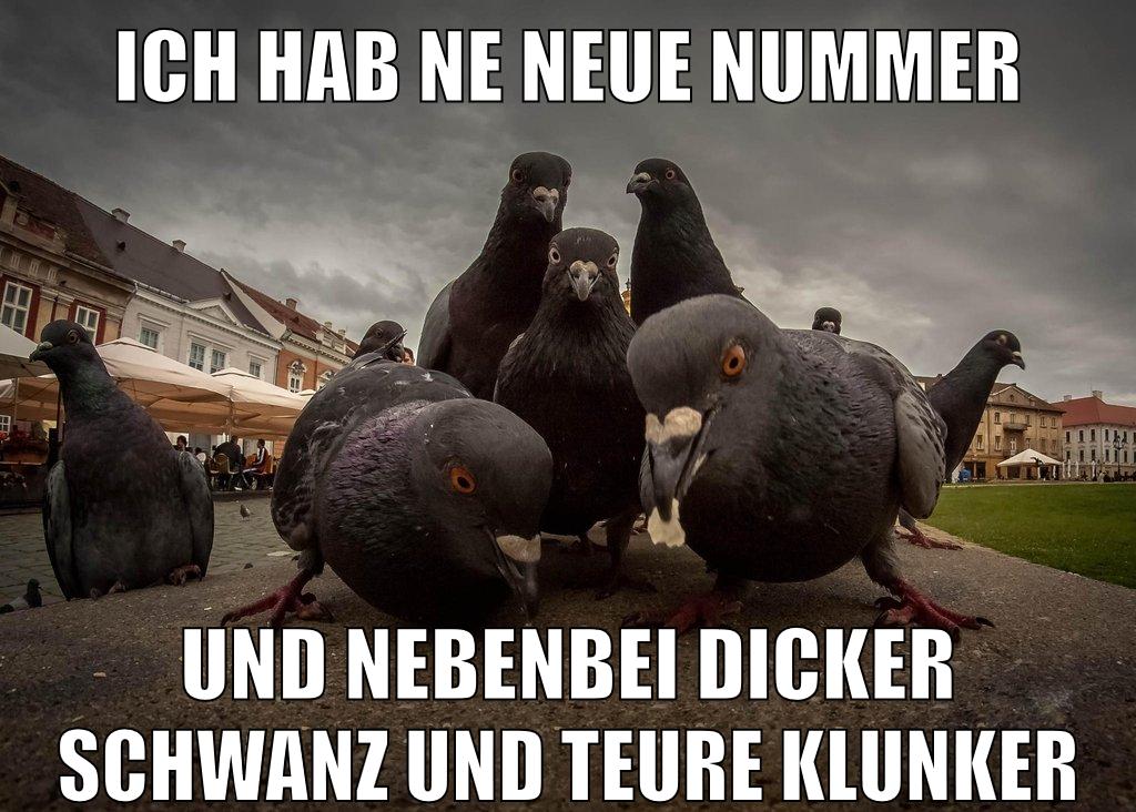 ich hab ne neue nummer und nebenbei dicker schwanz und teure Klunker