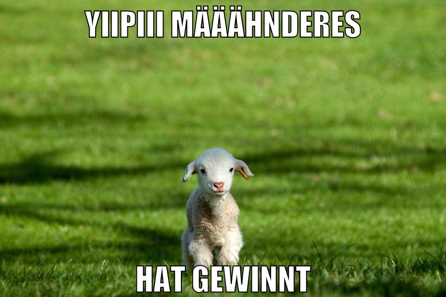 yiipiii määähnderes hat gewinnt