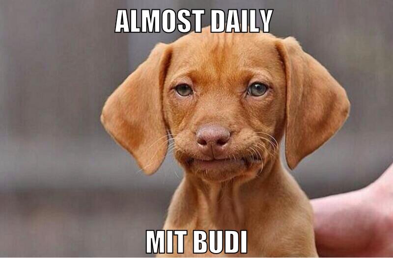 almost daily mit budi