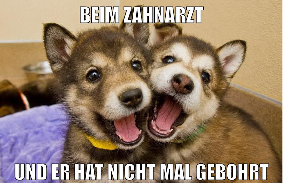Beim Zahnarzt und er hat nicht mal gebohrt