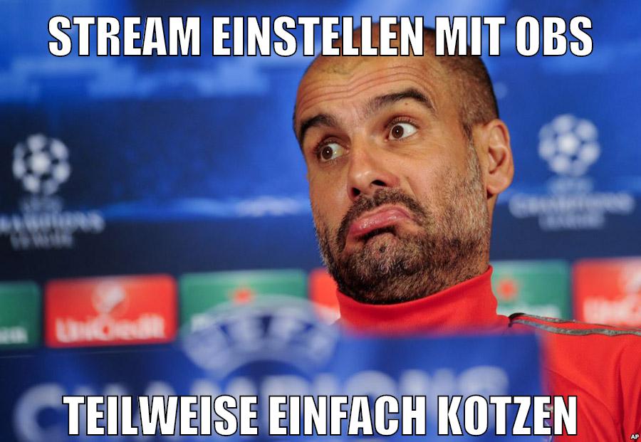 stream einstellen mit obs teilweise einfach kotzen