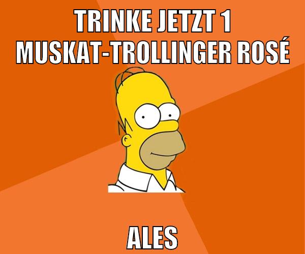trinke jetzt 1 Muskat-Trollinger Rosé ales
