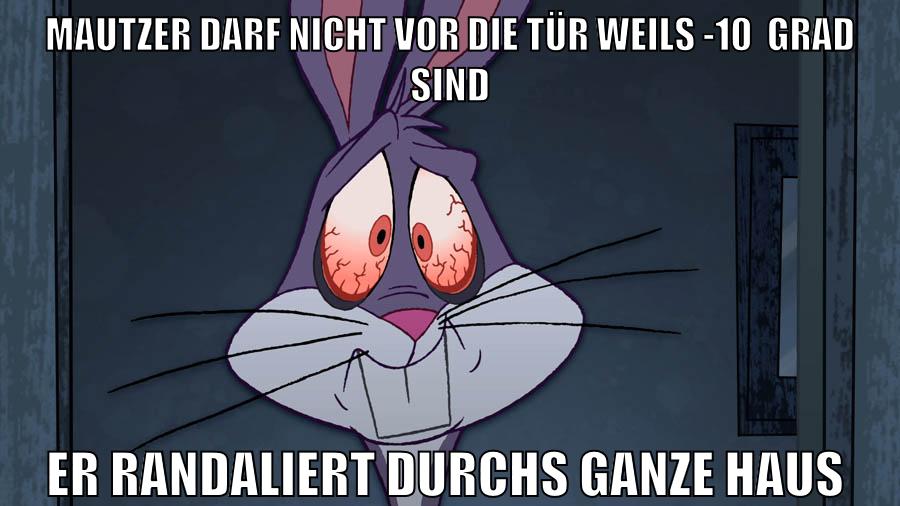 Mautzer darf nicht vor die tür weils -10  Grad sind er randaliert durchs ganze haus