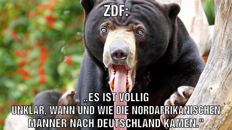 Zdf: „es ist völlig unklar, wann und wie die nordafrikanischen Männer nach Deutschland kamen."