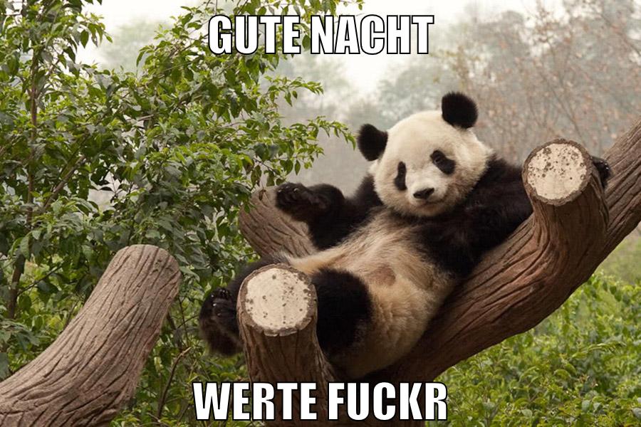 Gute Nacht Werte Fuckr