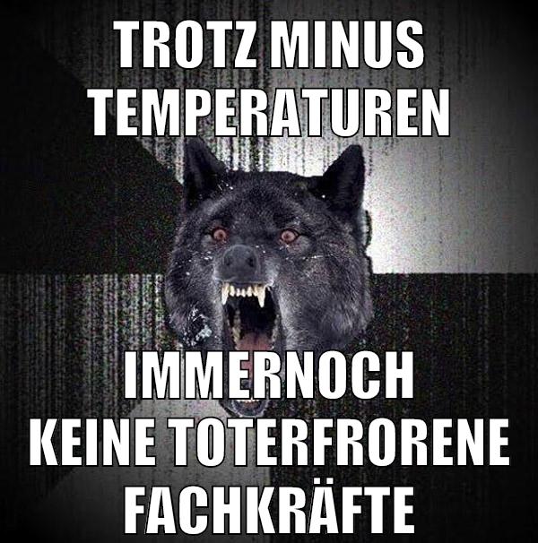 trotz minus temperaturen immernoch keine toterfrorene fachkräfte
