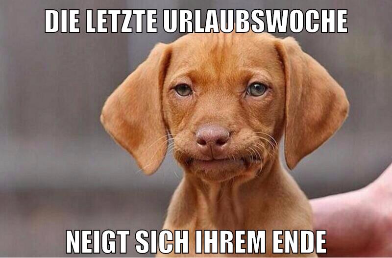 die letzte urlaubswoche neigt sich ihrem ende
