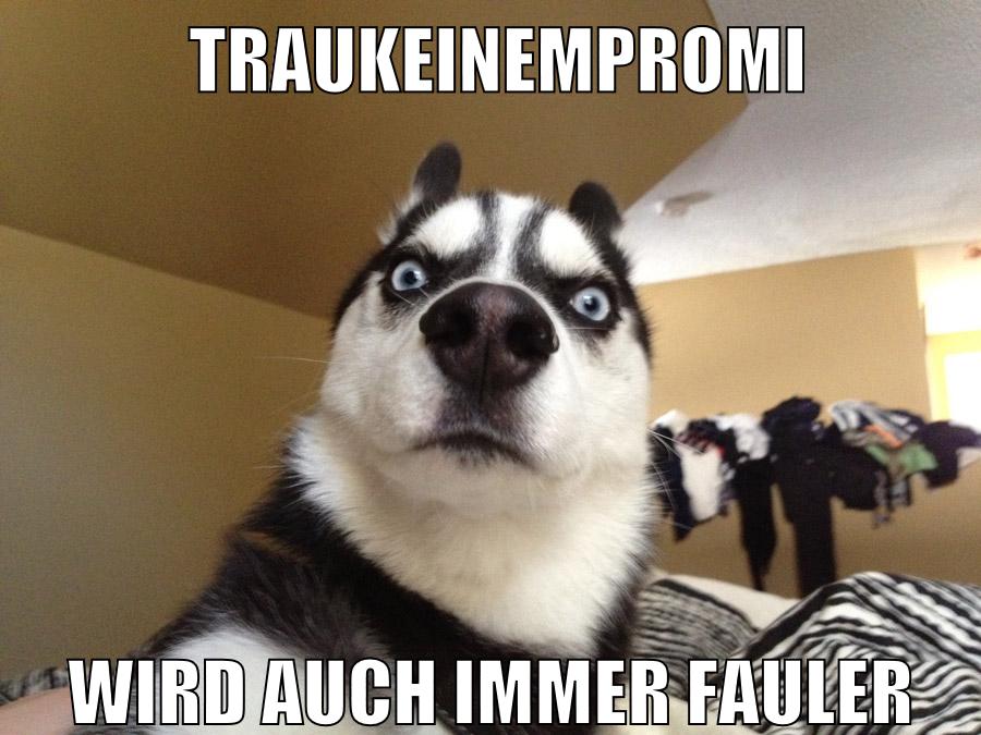 TrauKeinemPromi wird auch immer fauler