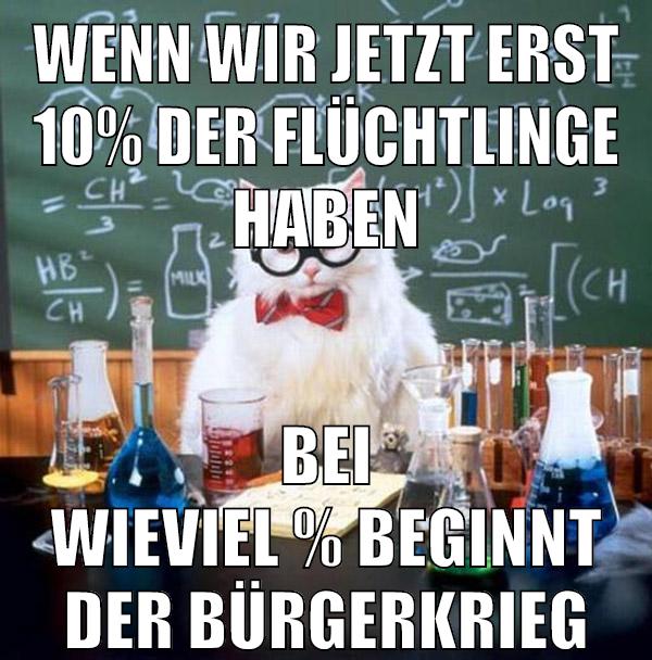 wenn wir jetzt erst 10% der flüchtlinge haben bei wieviel % beginnt der bürgerkrieg