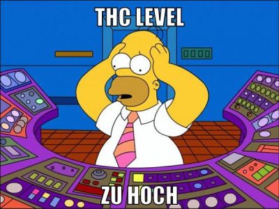 thc level zu hoch