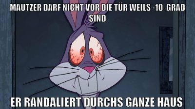 Mautzer darf nicht vor die tür weils -10  Grad sind er randaliert durchs ganze haus