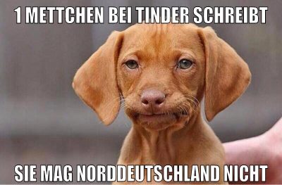 1 mettchen bei tinder schreibt sie mag norddeutschland nicht