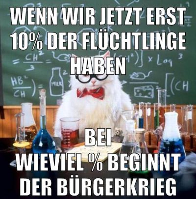 wenn wir jetzt erst 10% der flüchtlinge haben bei wieviel % beginnt der bürgerkrieg