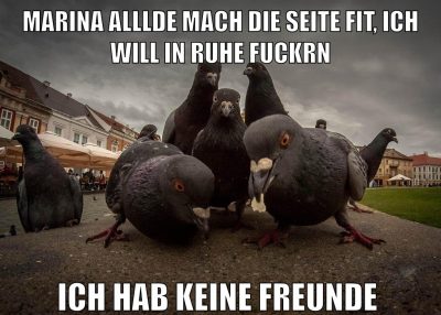 Marina alllde mach die seite fit, ich will in ruhe fuckrn ich hab keine freunde