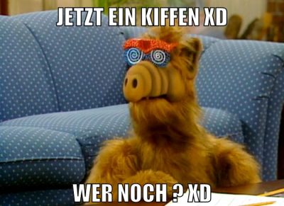 jetzt ein kiffen xd wer noch ? XD