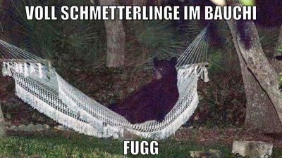 voll schmetterlinge im bauchi fugg