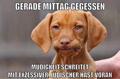 gerade mittag gegessen müdigkeit schreitet mit exzessiver, jüdischer hast voran