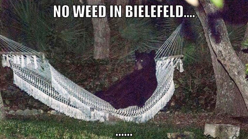 no weed in bielefeld.... ......
