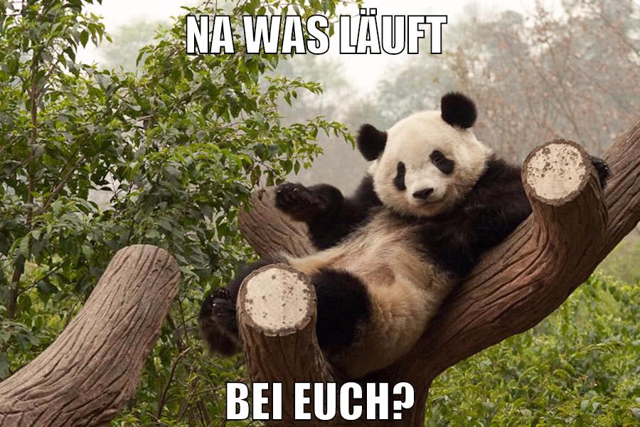na was läuft bei euch?
