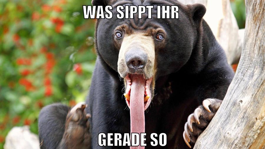 was sippt ihr gerade so