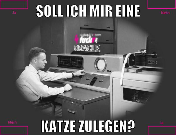 soll ich mir eine katze zulegen?
