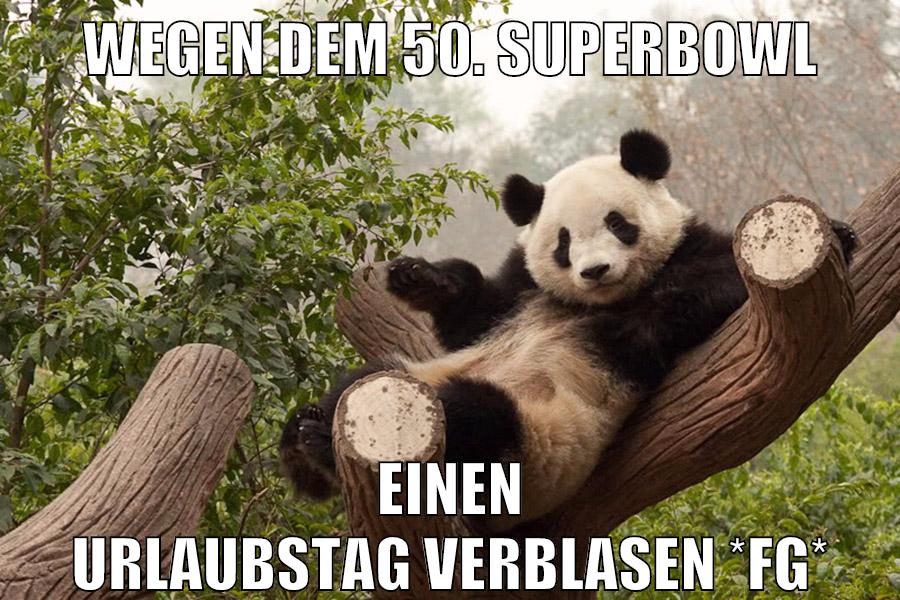 wegen dem 50. superbowl einen urlaubstag verblasen *fg*