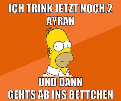 ich trink jetzt noch 2 ayran und dann gehts ab ins bettchen