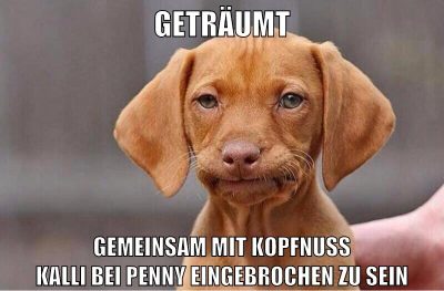 geträumt gemeinsam mit kopfnuss kalli bei penny eingebrochen zu sein