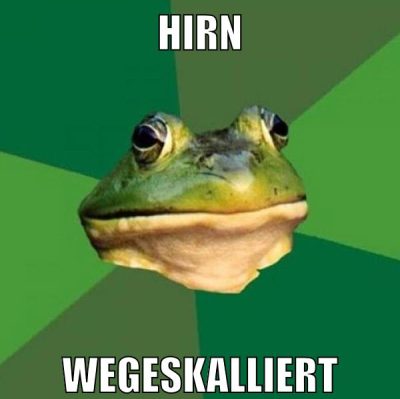 hirn wegeskaliert