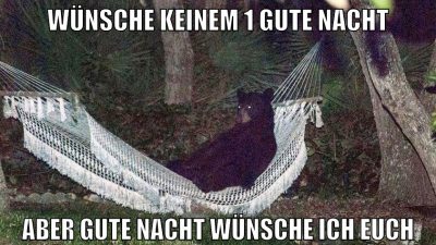 wünsche keinem 1 gute nacht aber gute nacht wünsche ich euch